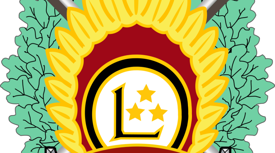 L’Estonie, la Lettonie et la Belgique reçoivent les drones intercepteurs autonomes BLAZE d’Origin Robotics