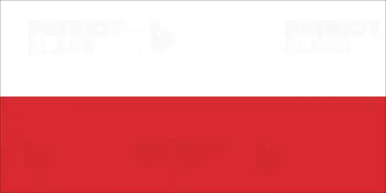 Hausse de la vigilance sur le réseau électrique nordique après des cyberattaques russes contre la Pologne