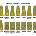 L’armée britannique compte désormais des femmes à tous les grades, du soldat au général « quatre étoiles »